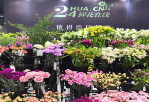 花城盛宴，百花爭艷2020亞洲花卉產(chǎn)業(yè)博覽會8月3日開幕！